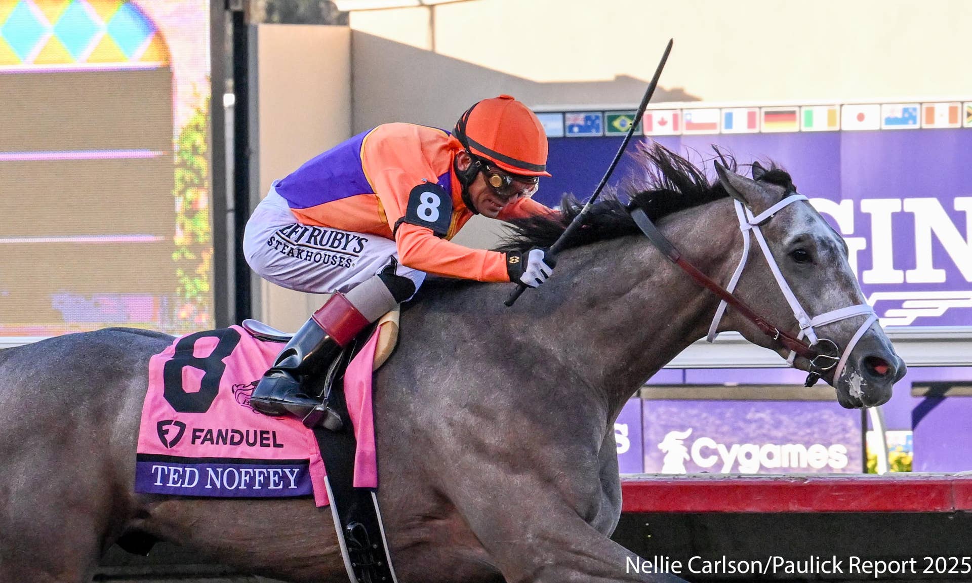 Report: Undefeated Champion Ted Noffey Could Make 2026 Debut In Dwyer ...