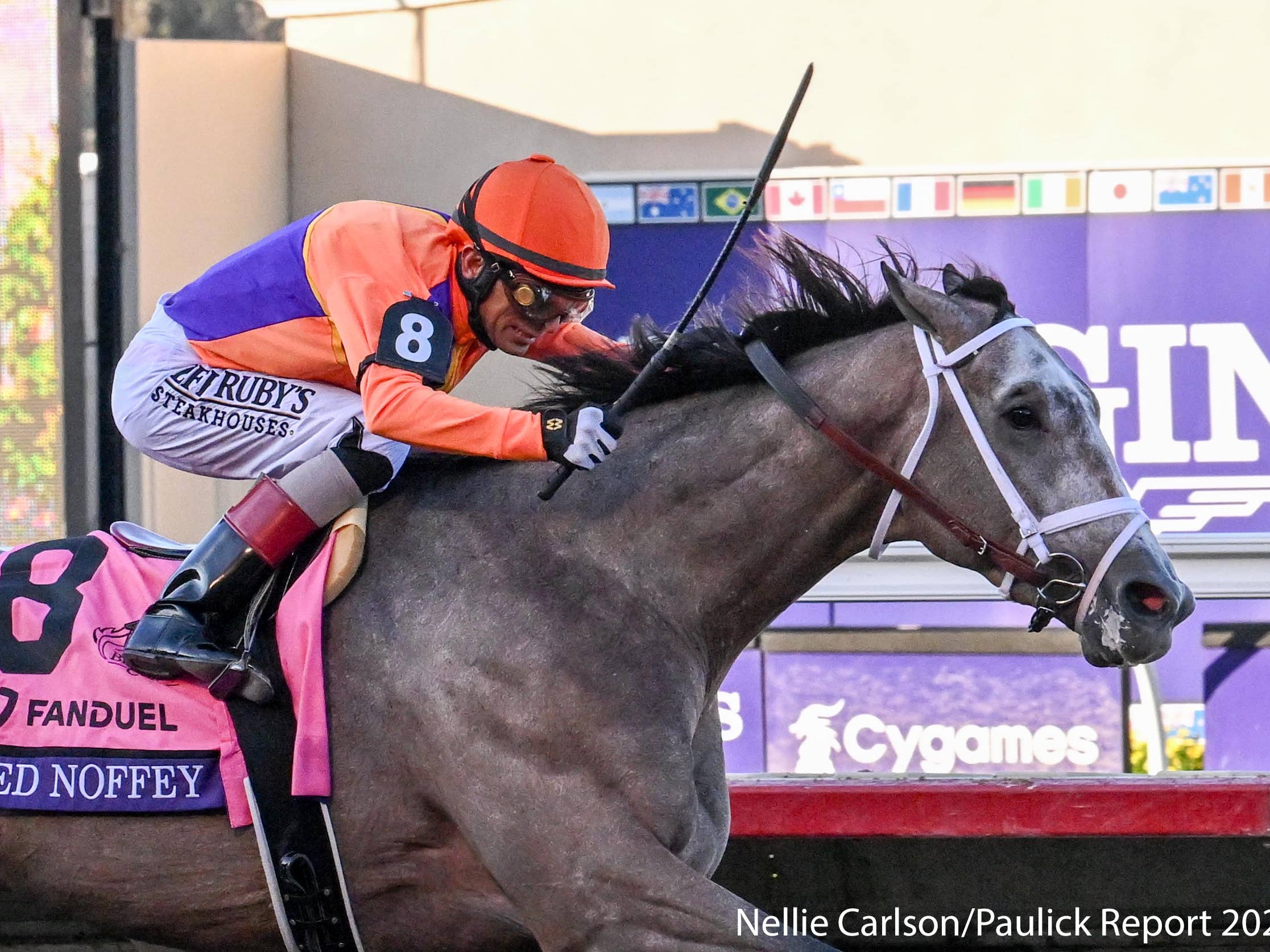 Hours Reporting Report: Undefeated Champion Ted Noffey Could Make 2026 Debut In Dwyer ...