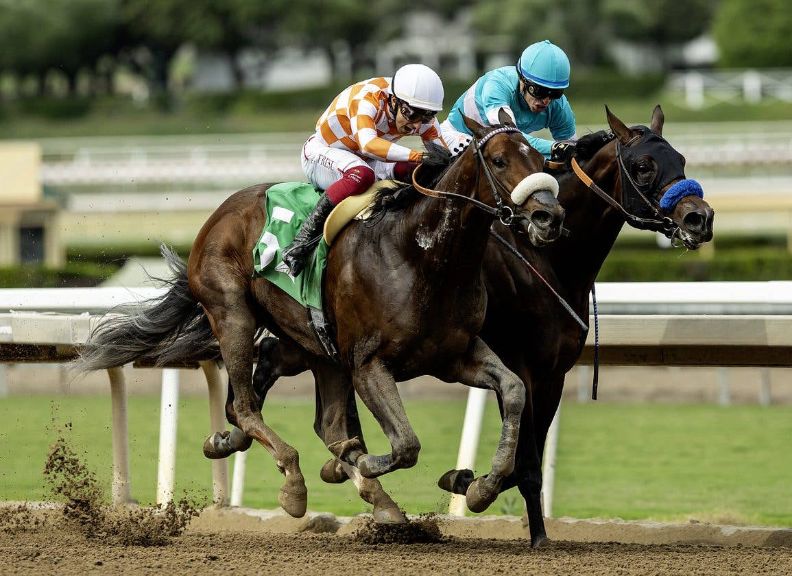 Gentildonna Surges to Victory in Dubai Sheema Classic - Paulick Report
