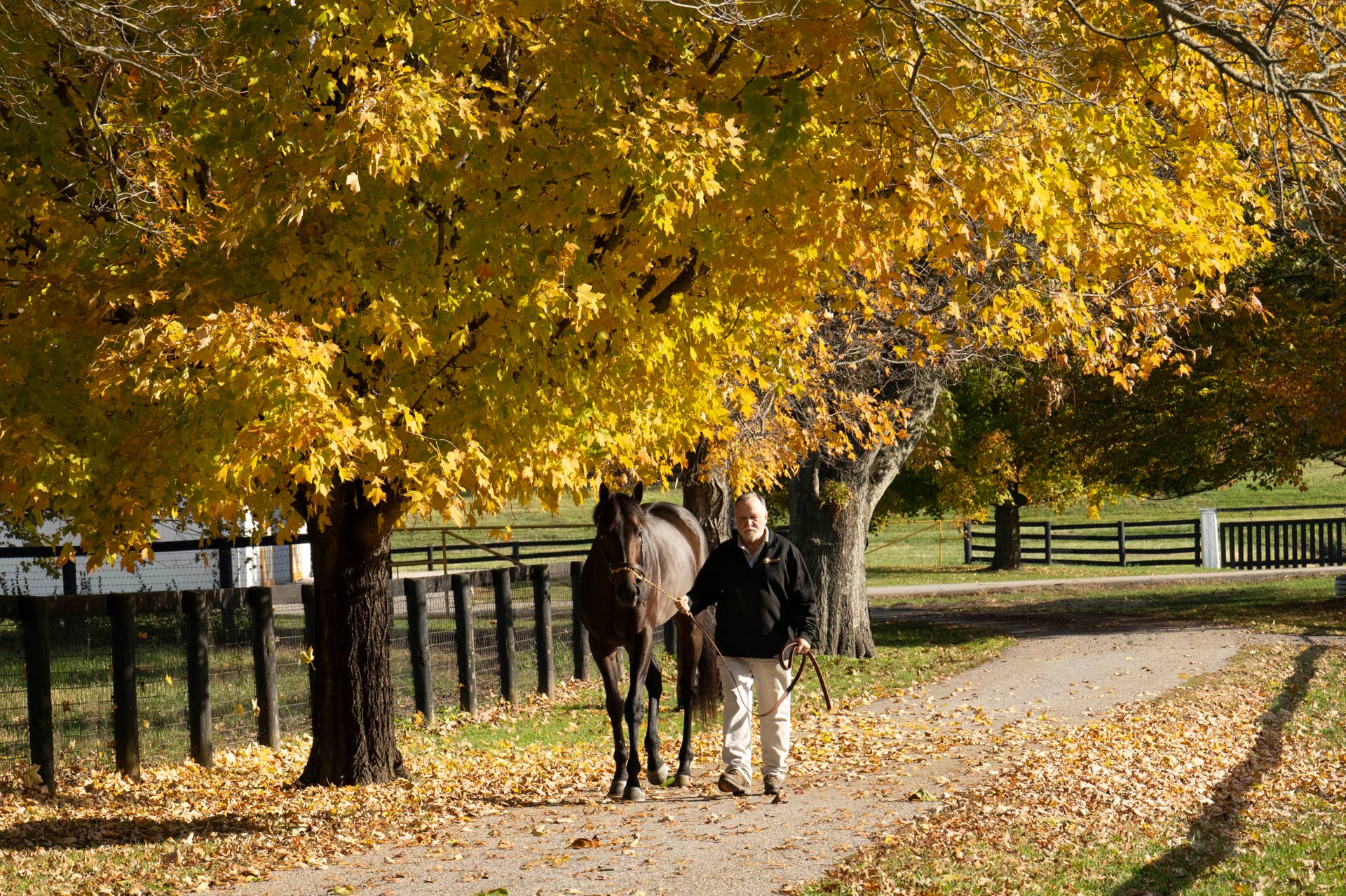 Mind Frame Sign In First Mares Checked In Foal To Claiborne Farm Stallions Mindframe ...