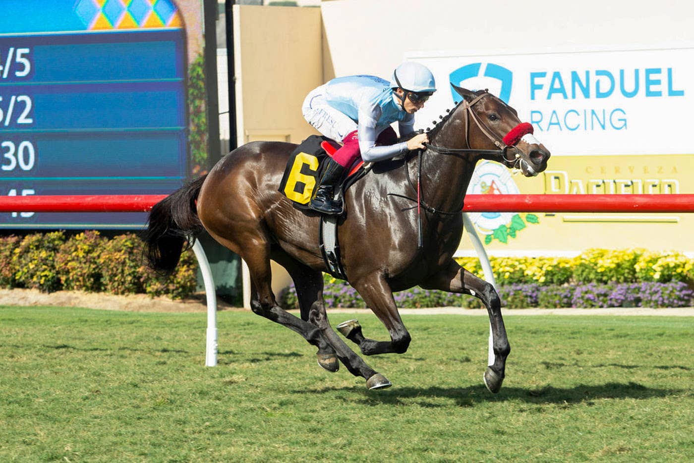 Hypergamy Leads Jimmy Durante Stakes Off Front-Running Maiden Win