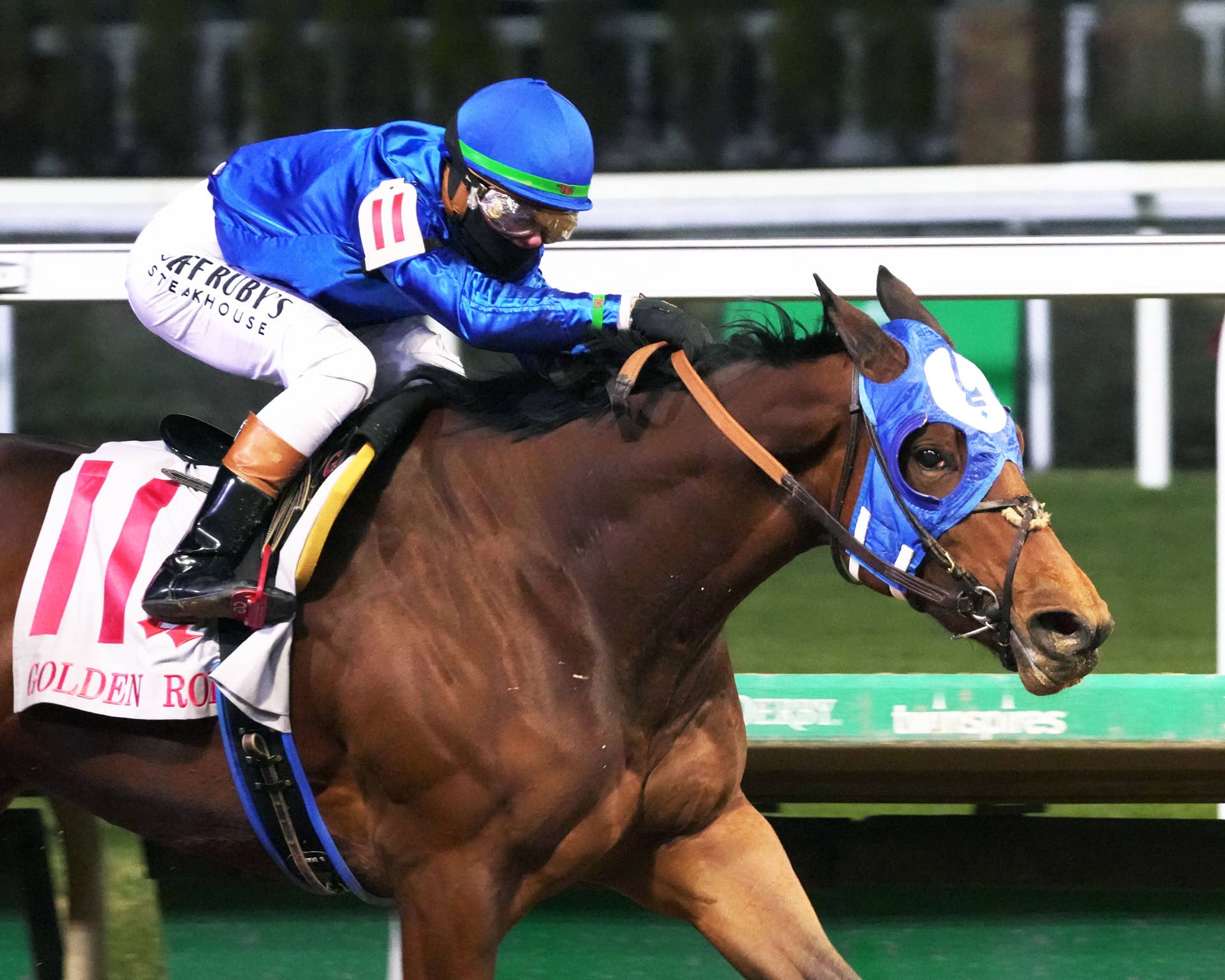Golden Rod Winner Bella Ballerina Favored In Rachel Alexandra - Paulick ...