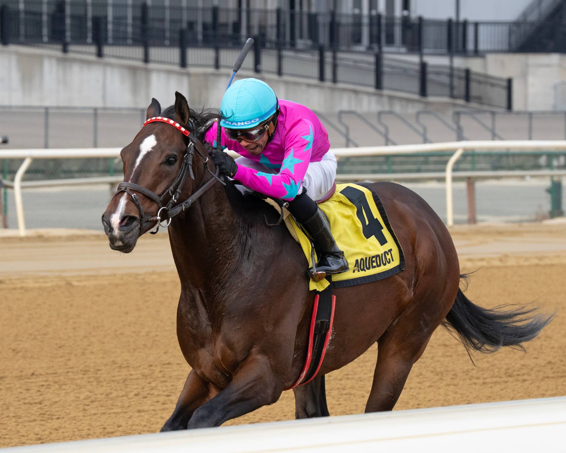 Bidding Open For 2026 Fasig-Tipton March Digital Sale, 189 Cataloged ...