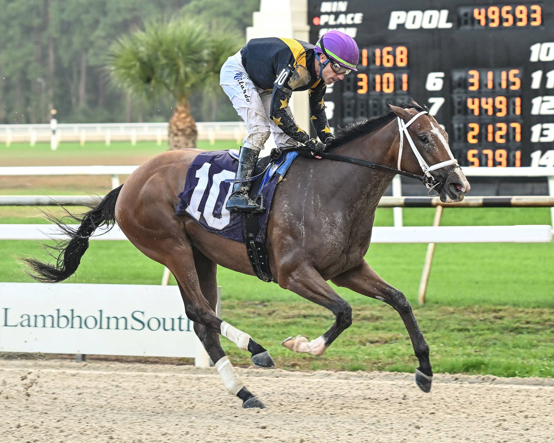 Sneaky Good Shortens Up For Beaumont - Paulick Report
