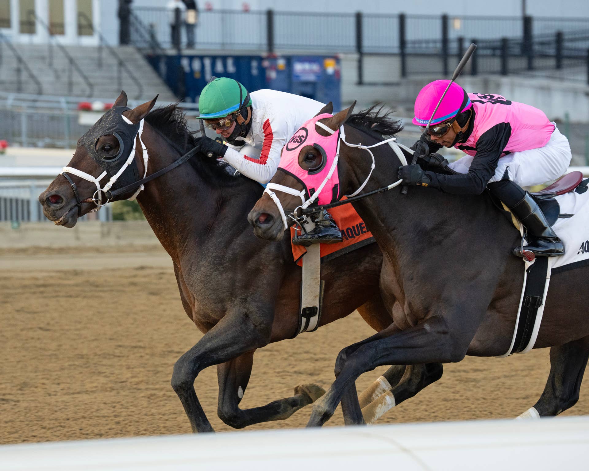 Gentildonna Surges to Victory in Dubai Sheema Classic - Paulick Report