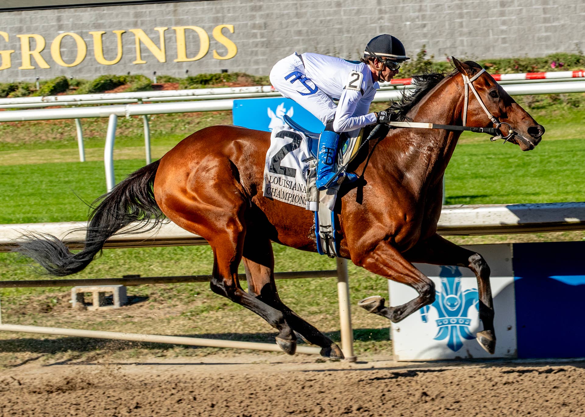 Louisiana Champions Day: Touchuponastar Notches Record Fourth