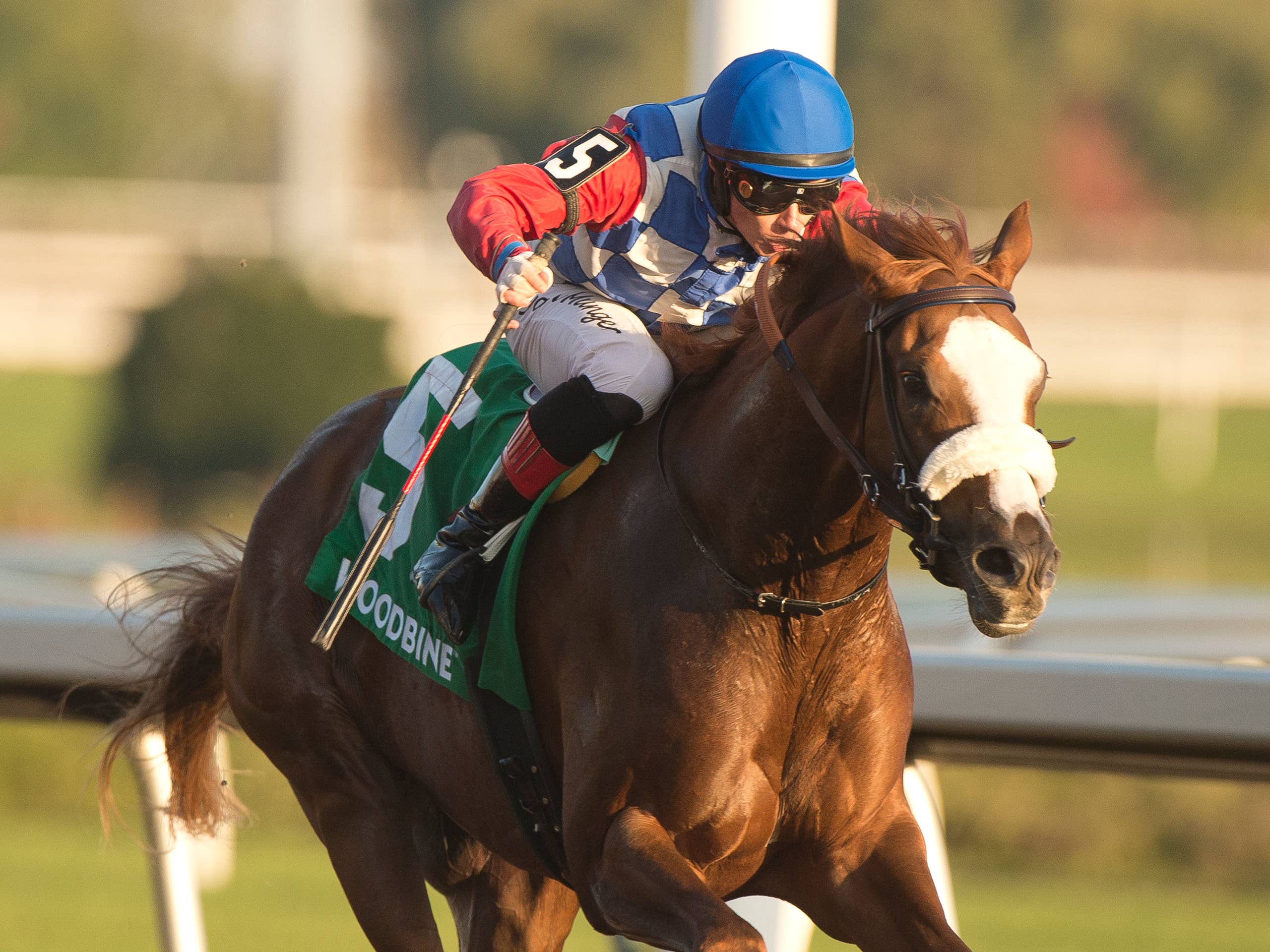 Canada's Reigning Champion 3-Year-Old Dresden Row Faces Seven In ...