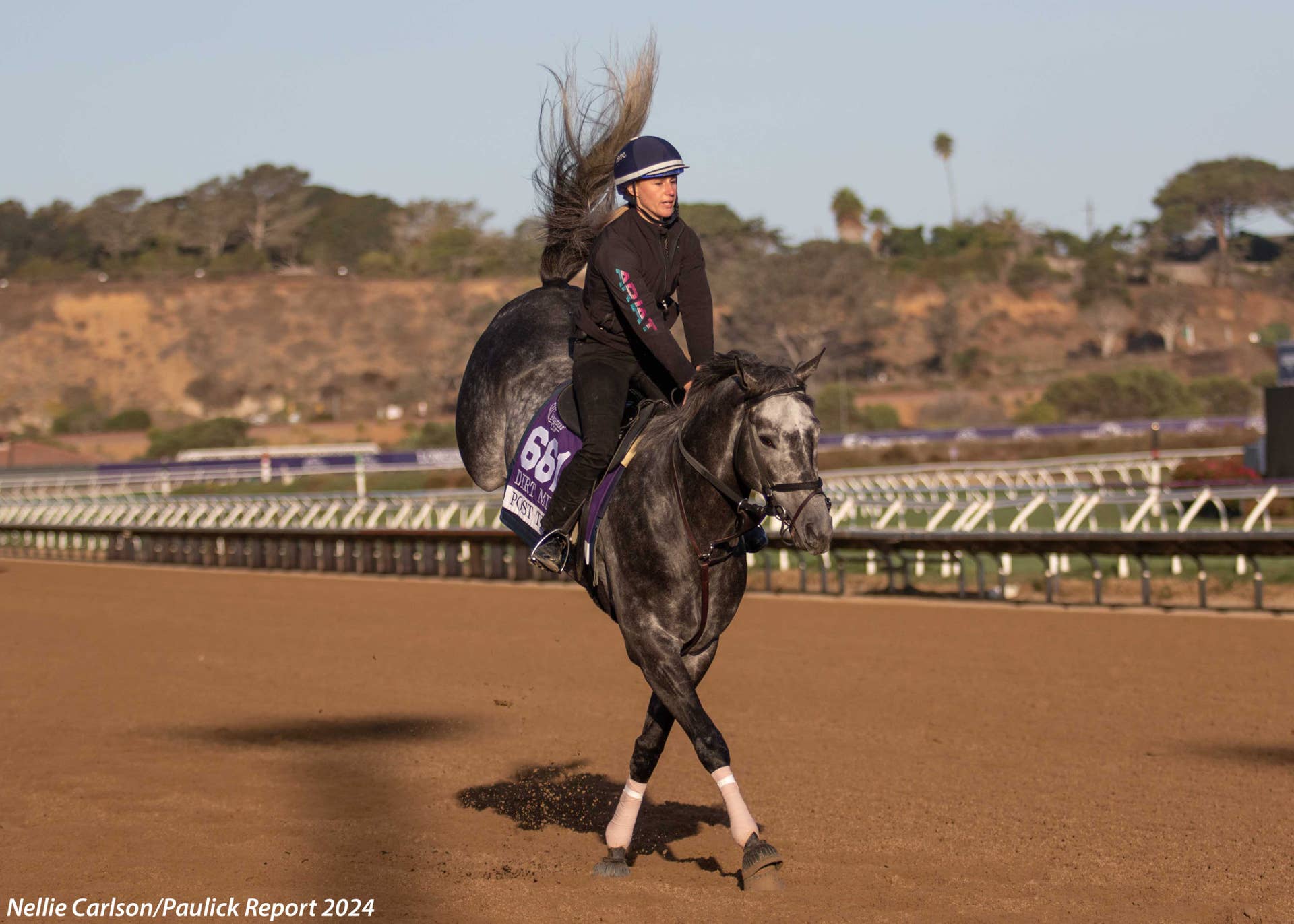 'He So Deserves It': Post Time Could Target Pegasus After Cigar Mile ...