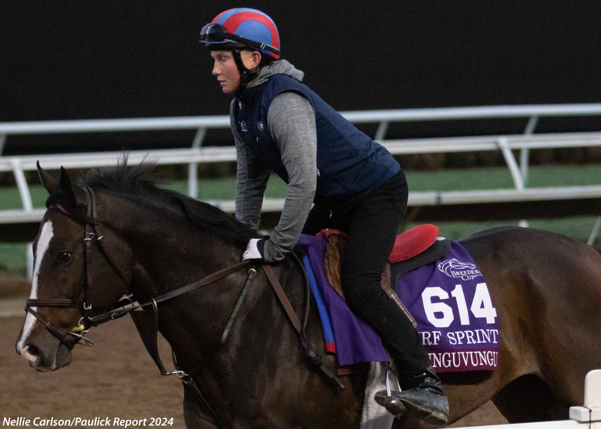 Gentildonna Surges to Victory in Dubai Sheema Classic - Paulick Report