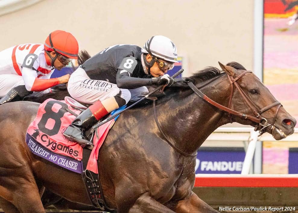 It's The Horse': Straight No Chaser Takes Hundreds For A Ride To
