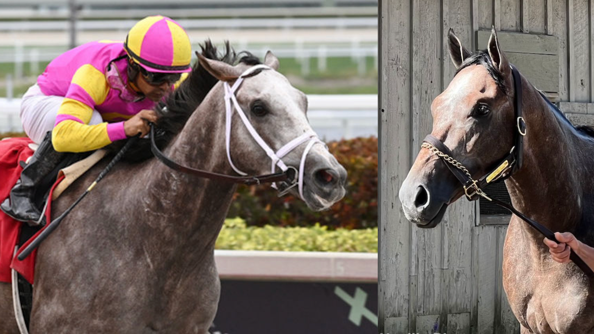 What Separates Tapit Trice And Charge It, Gainesway's Two New Sons Of ...
