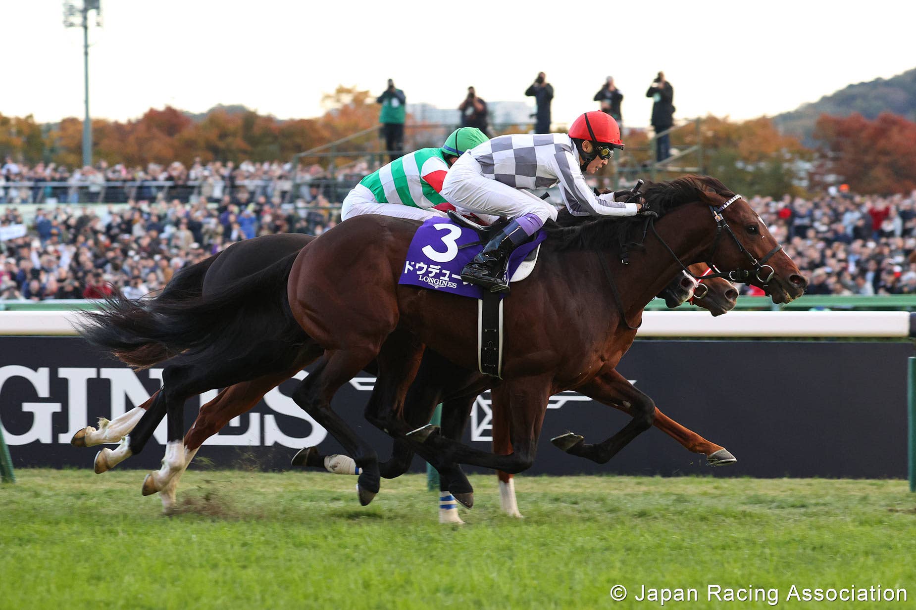 Favorite Do Deuce Goes Last To First In Japan Cup - Paulick Report