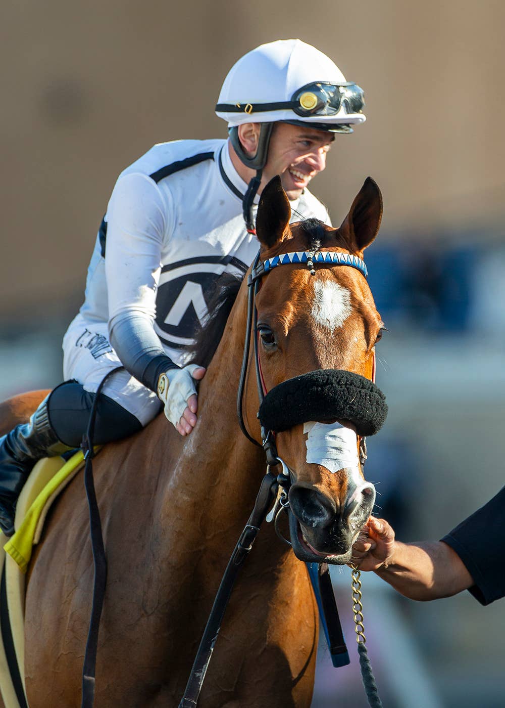Unconquerable Image Paulick: Del Mar's Turf Festival Is A Post-Thanksgiving Feast - Paulick ...