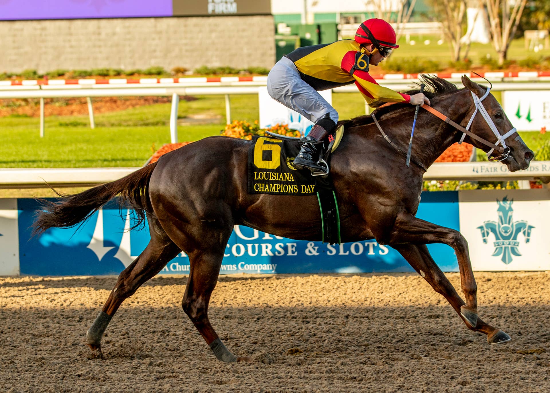 Touch Upon Touchuponastar Emulates Sire With Third Louisiana Champions Day Classic ...