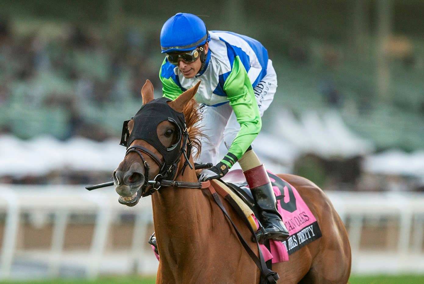 Pretty Headlines Multiple Grade 1 Winner She Feels Pretty Headlines Modesty - Paulick Report