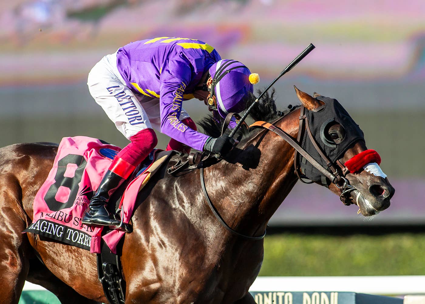 'Very Optimistic': Doug O’Neill Eyes Met Mile With Raging Torrent As ...