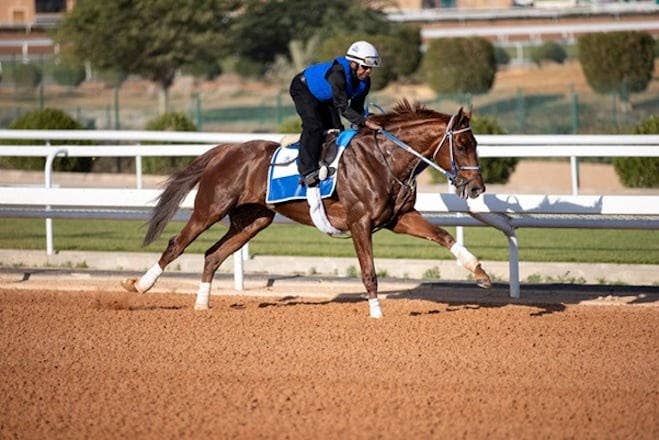 Rattle N Roll In Saudi Arabia To Qualify For $20 Million Saudi Cup ...