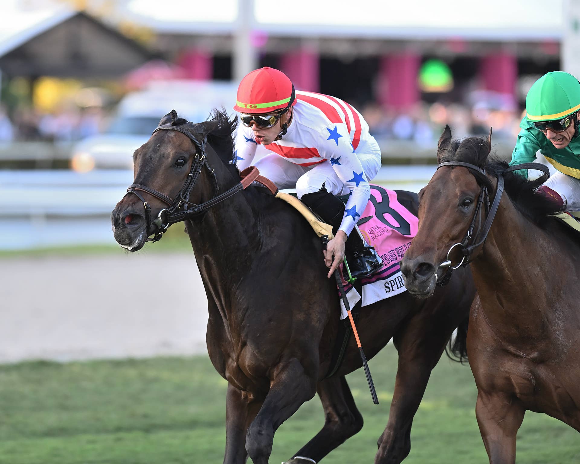 Spirit Of St Louis Kicks Off 7-Year-Old Campaign In Appleton Stakes ...
