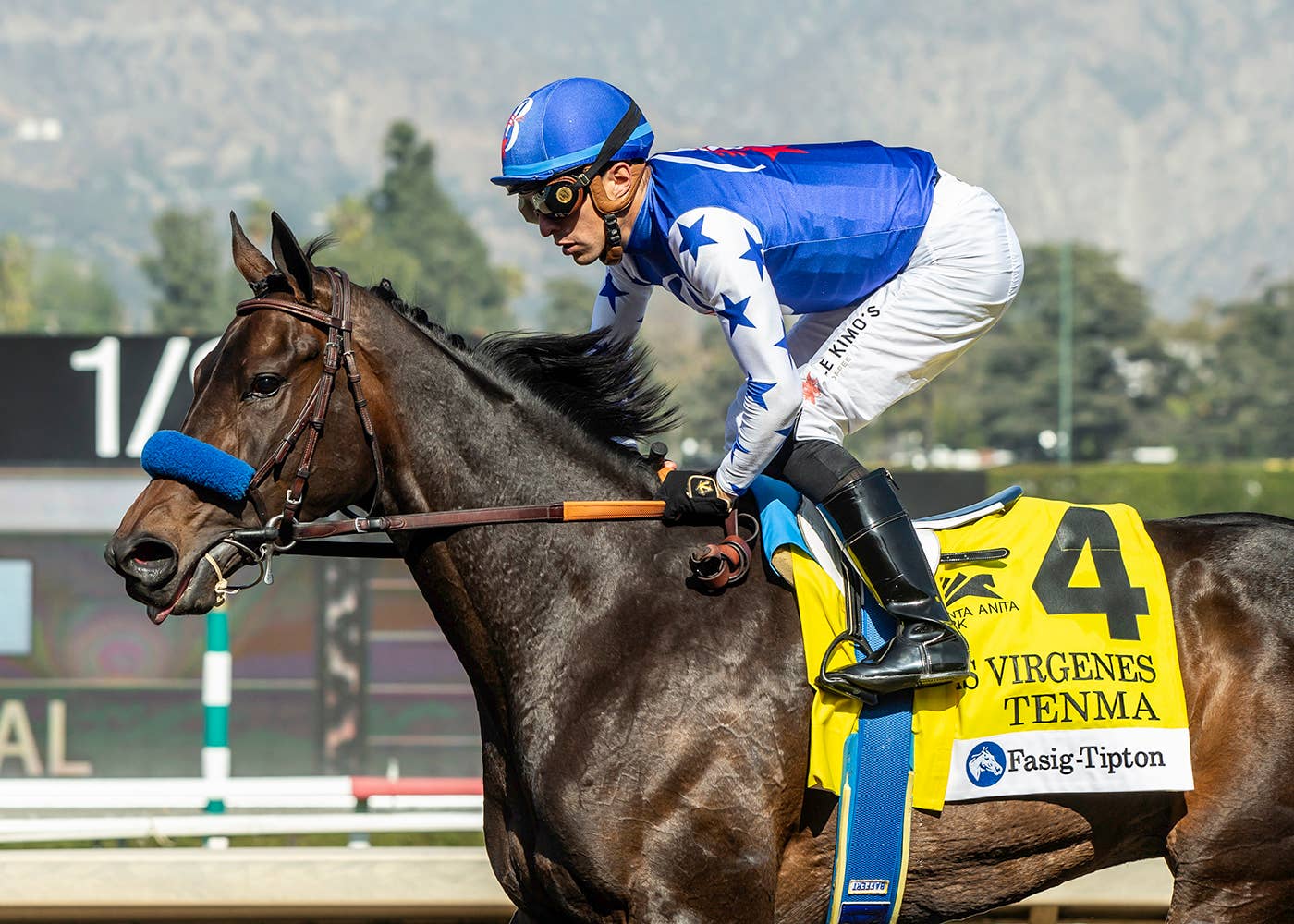 Tenma, Vodka With A Twist Headline Santa Anita Oaks - Paulick Report