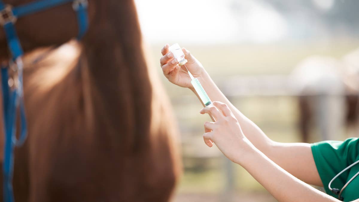 Hagyard Reveals New Iteration Of Salmonella Vaccine