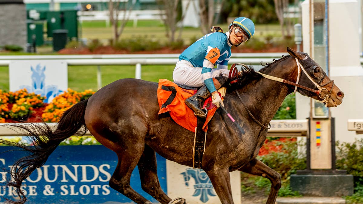 Equibase Analysis: Gigante Provides Tremendous Value In Cornhusker