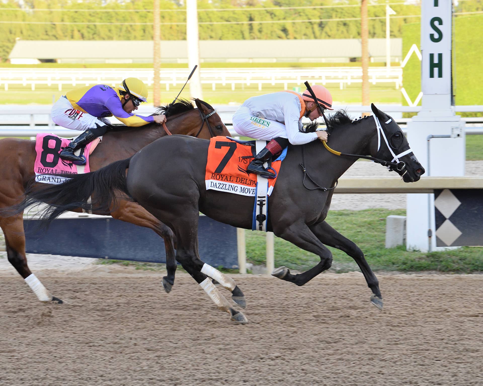 Eunomia Looks For Breakthrough Graded Victory In Competitive Ruffian ...