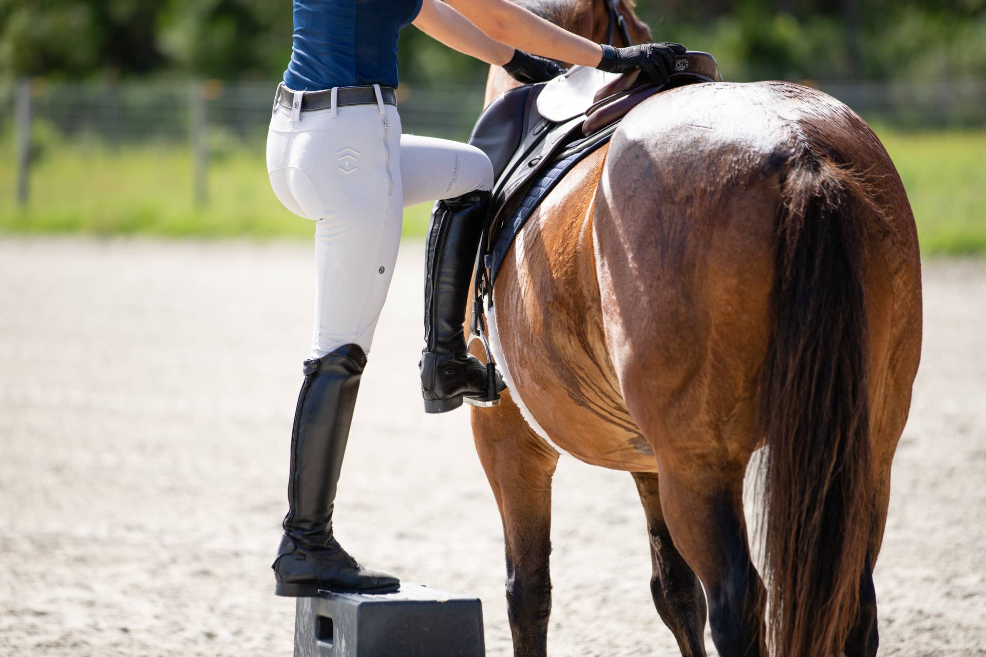 Grimm: When It Comes To Kissing Spines, Ride The Horse (Properly), Not ...