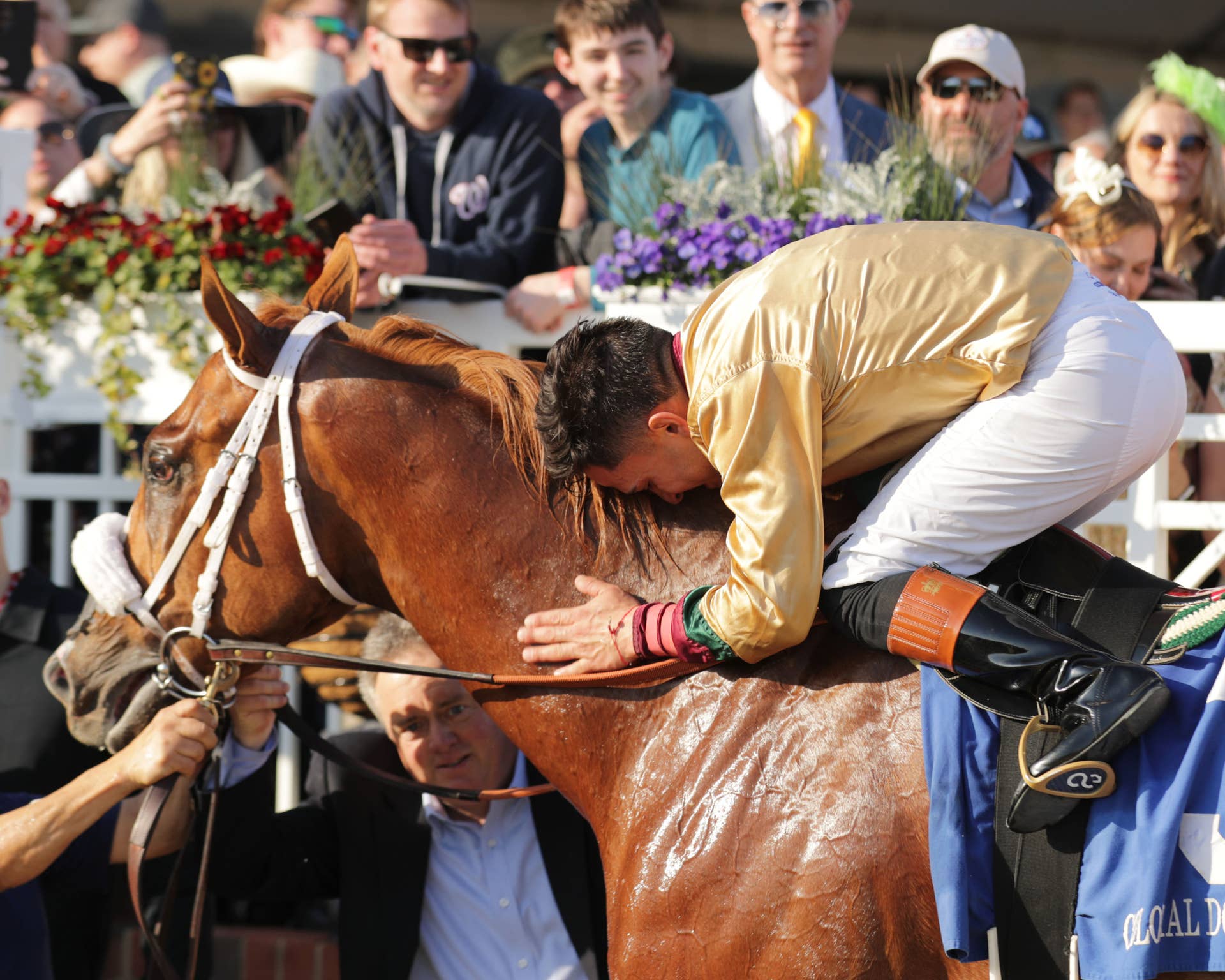 Nik Juarez Set To Join Colonial Downs Jockey Colony - Paulick Report