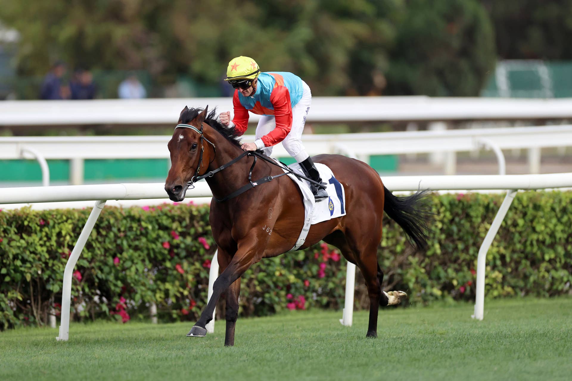 Foolproof Horse': Ka Ying Rising Zips To Sprint Cup Victory For