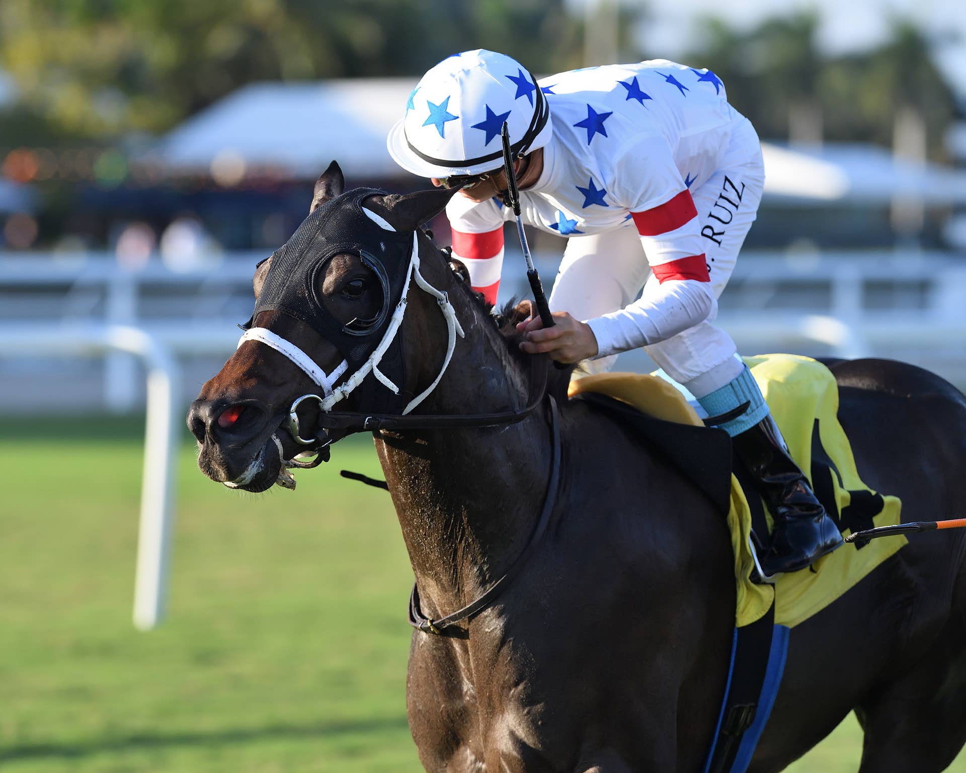 Crevalle d’Oro, Reef Runner, Ms. Bucchero Score Stakes Wins At ...