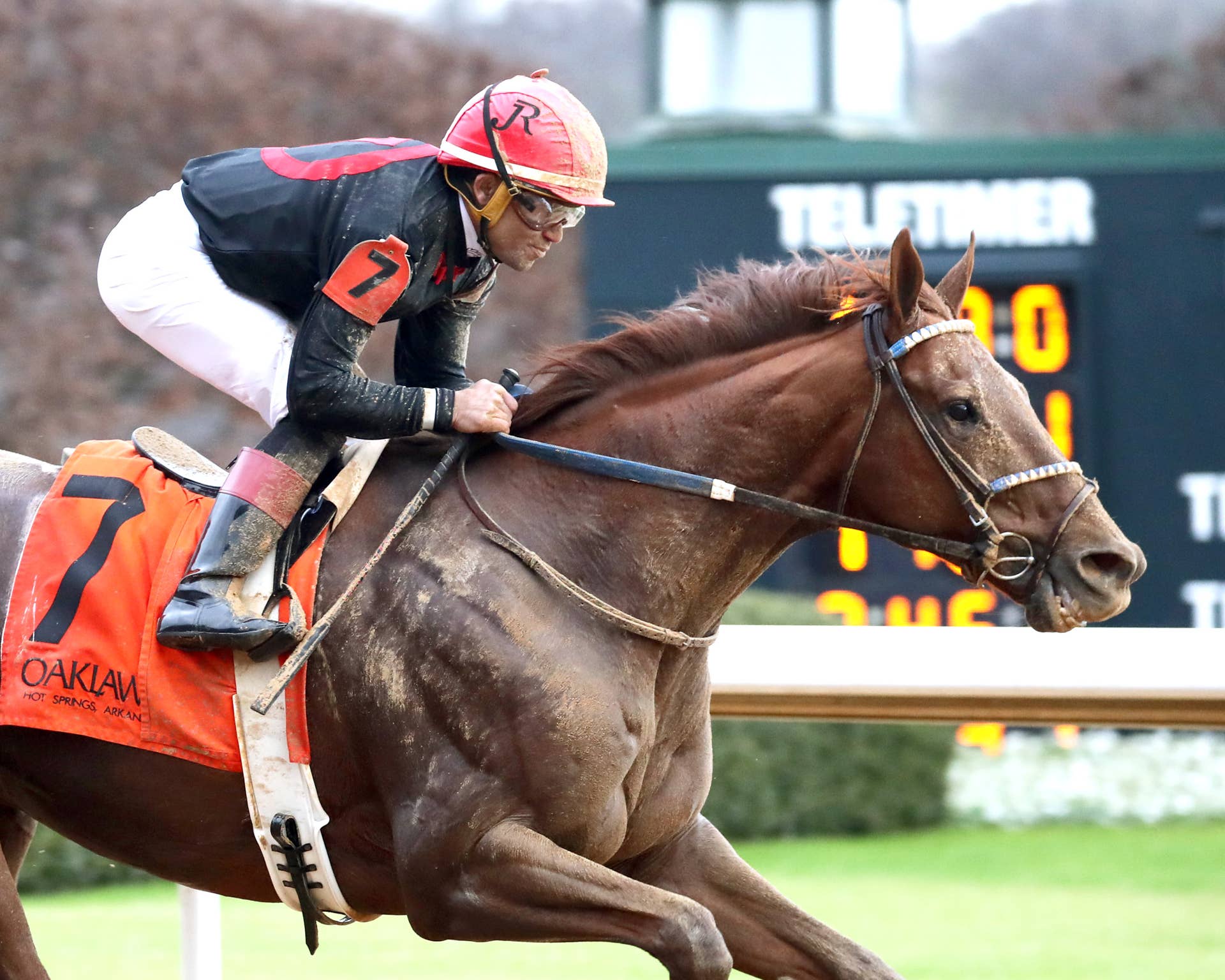 Rsttle 'He's Hickory': Rattle N Roll Rallies From Last To First In Oaklawn's ...
