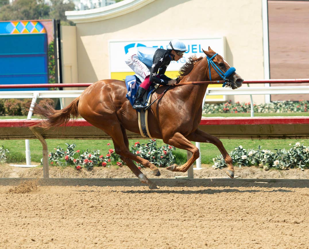 Lightly Raced Formula Rossa Seeks First Graded Win In La Brea - Paulick ...