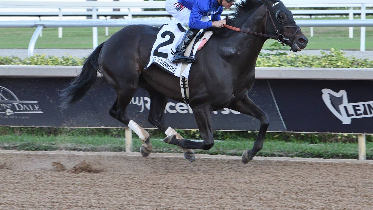 Knightbridge Possible For Pacific Classic