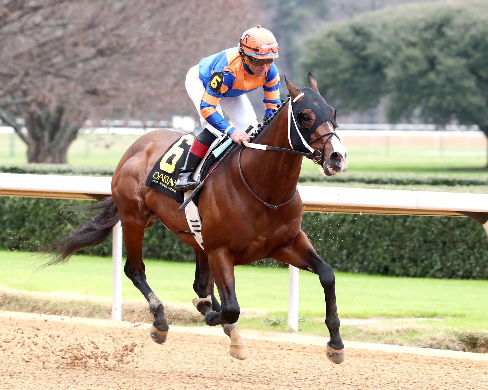 Gentildonna Surges to Victory in Dubai Sheema Classic - Paulick Report