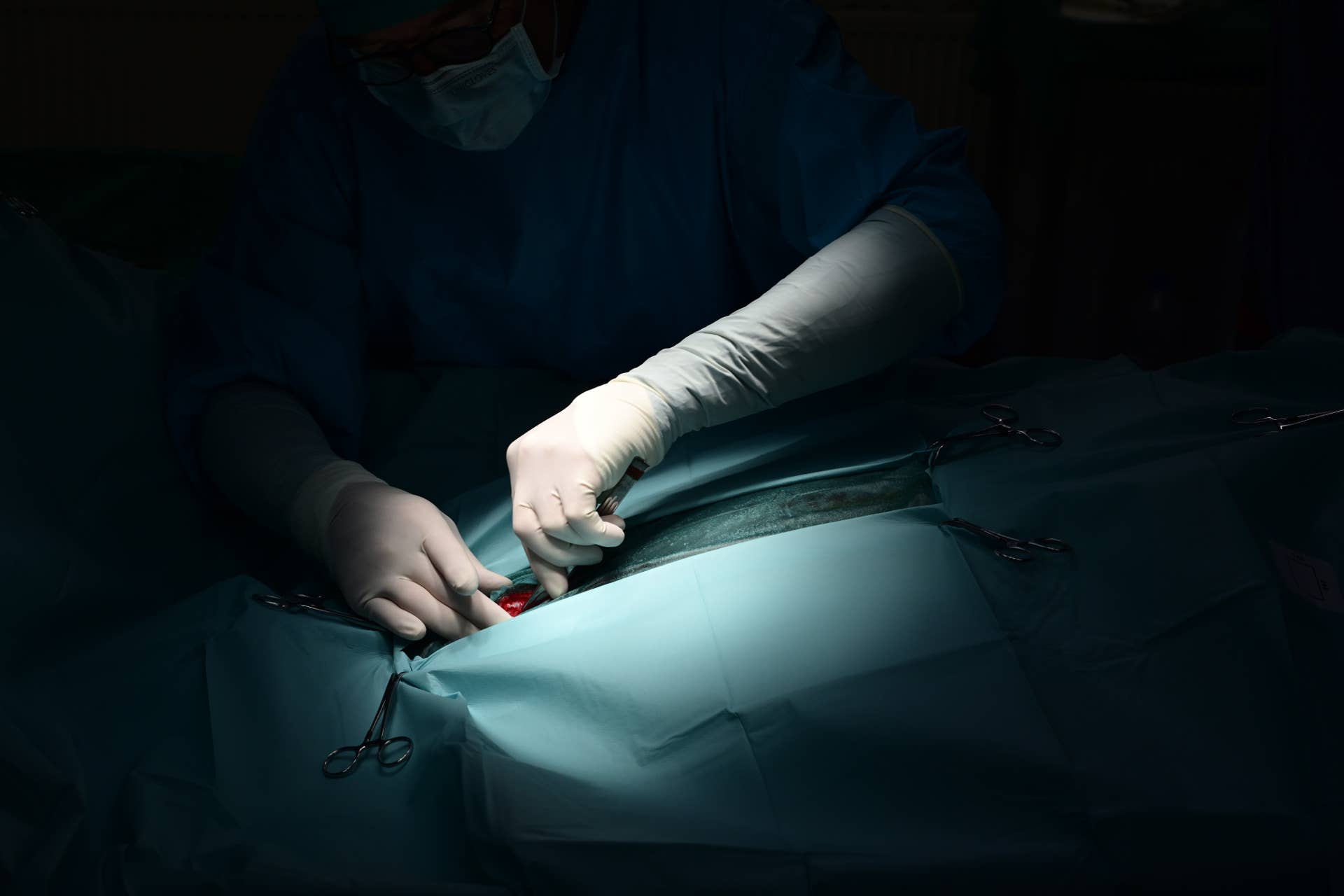 New Study Reveals Management-Based Risk Factors For Strangulating ...