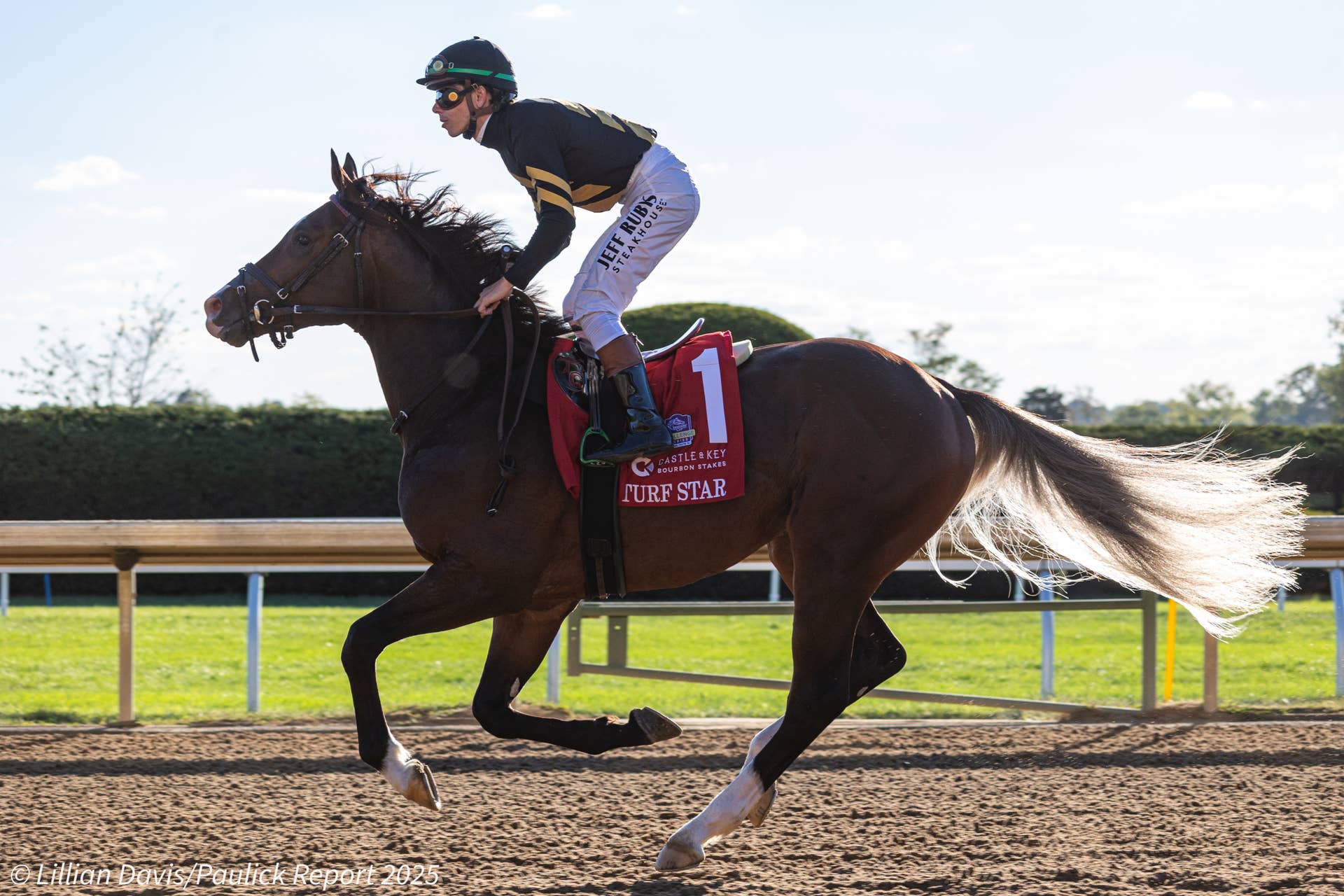 Turf Star Turf Star Makes First Start Since Breeders’ Cup In Kitten’s Joy ...