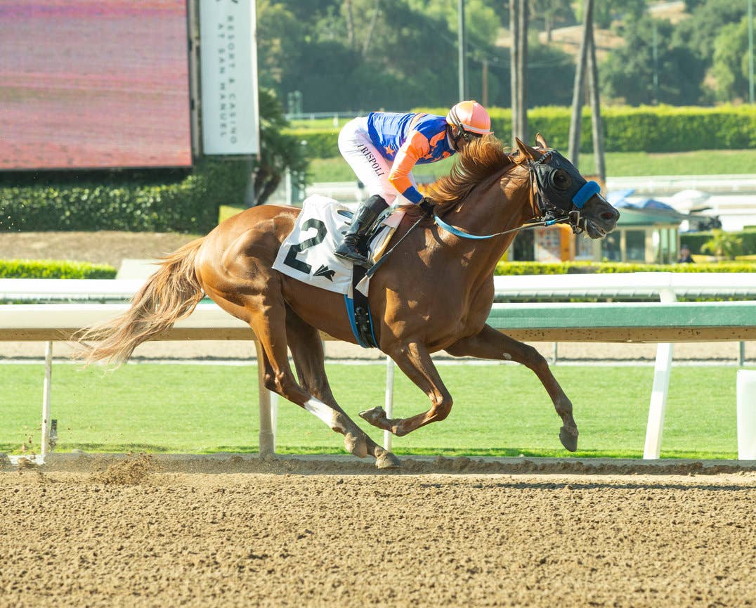 Pony Express, Westwood Bid For First Stakes Victories In Wide-Open