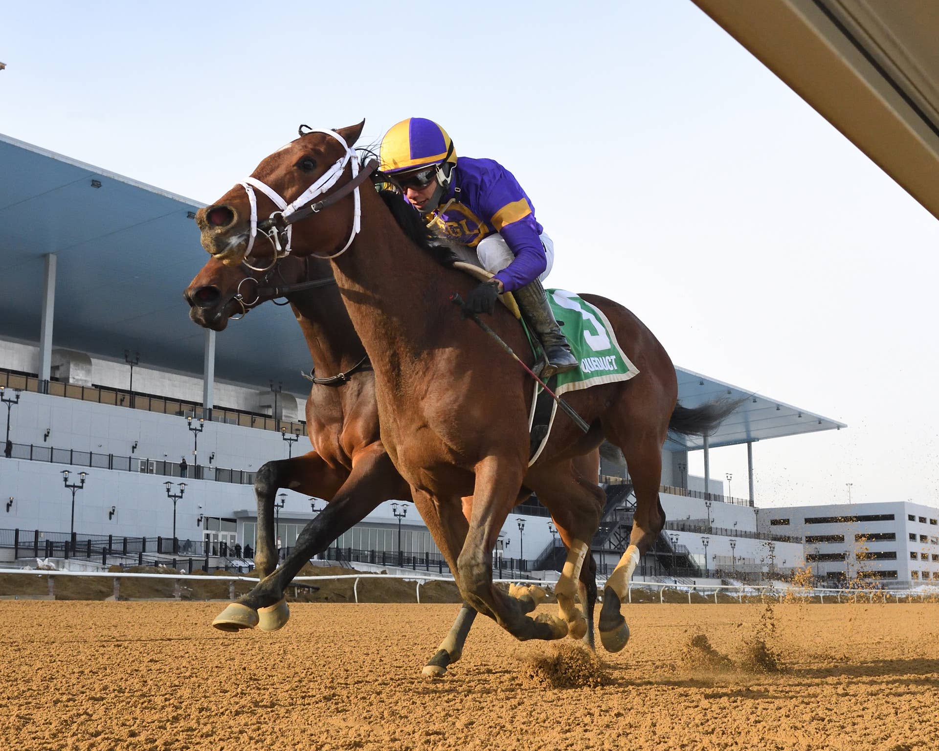 ‘Very Proud Of Her Effort’: Two Bits Rides The Rail To Prevail In ...