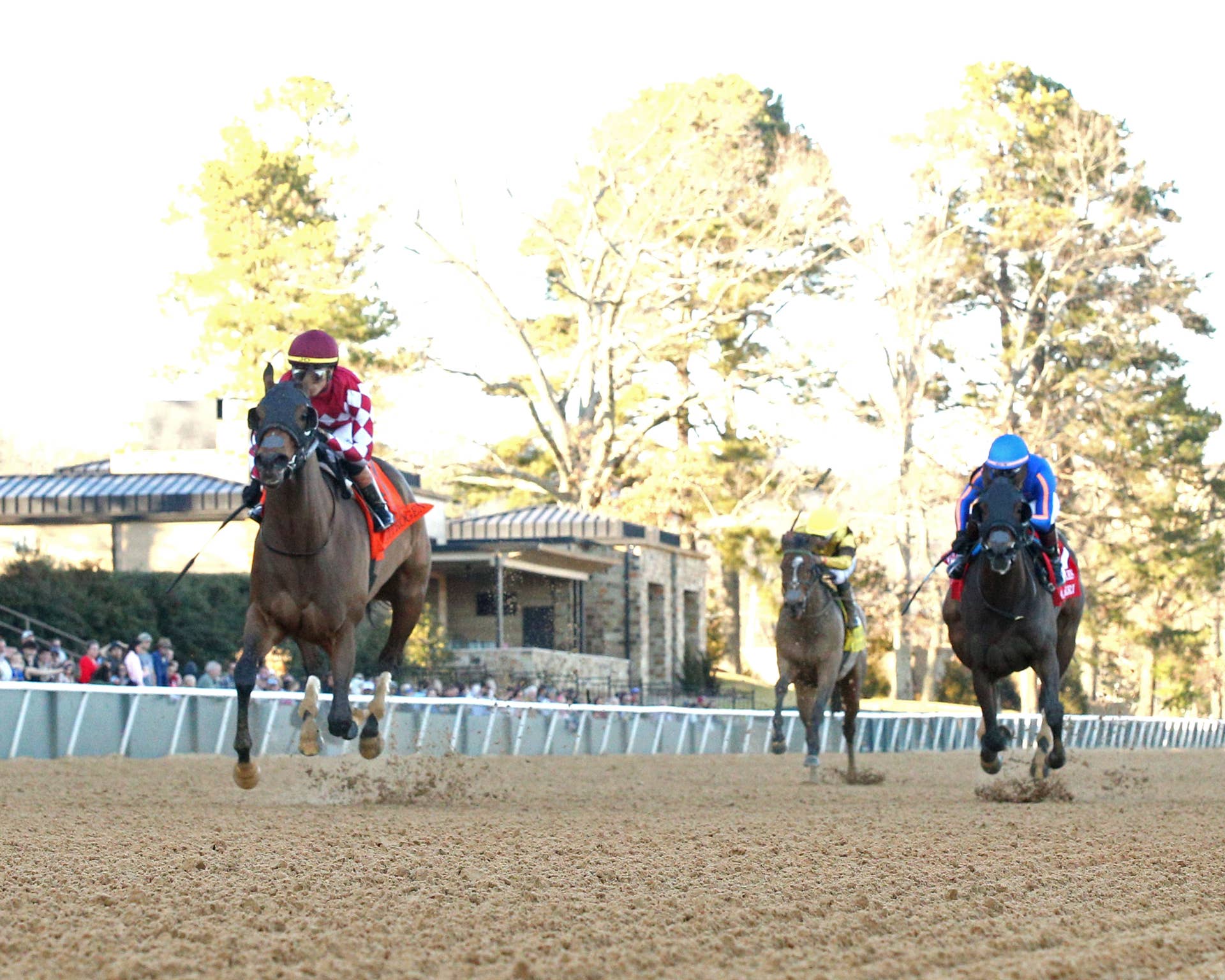HORSE RACE　モンチッチ　2体　レーシングホース Champion Nitrogen Faces Six Rivals In Azeri - Paulick Report