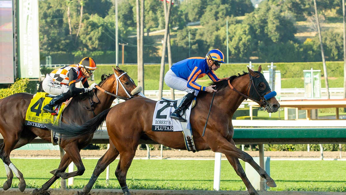 Blueblood Plutarch Has First Work Since Robert B. Lewis Victory