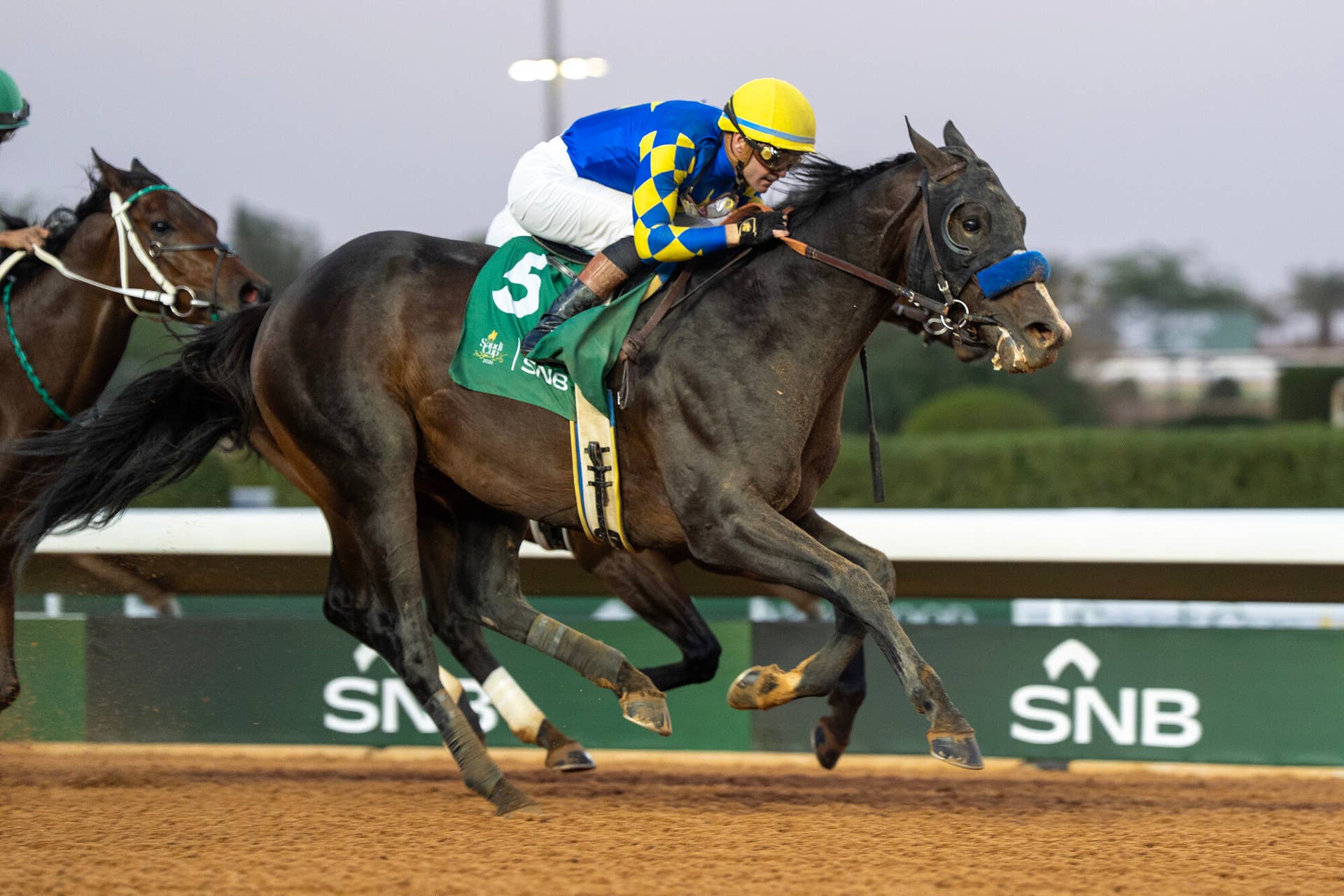 Graded Winner Imagination Retired To Mountain View Farm In New York