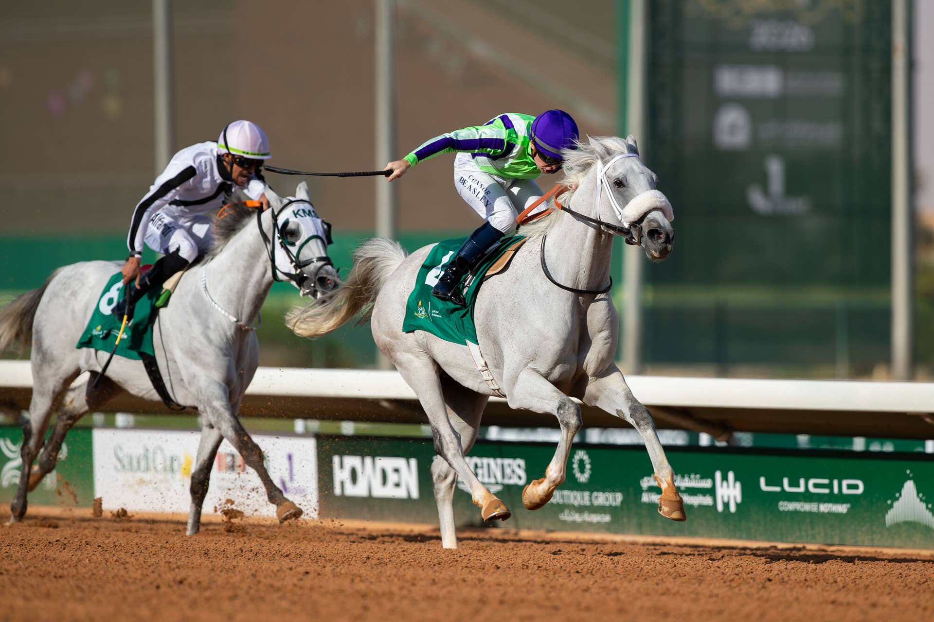 From Delaware To The Desert: Globetrotting Arabian First Classs ...