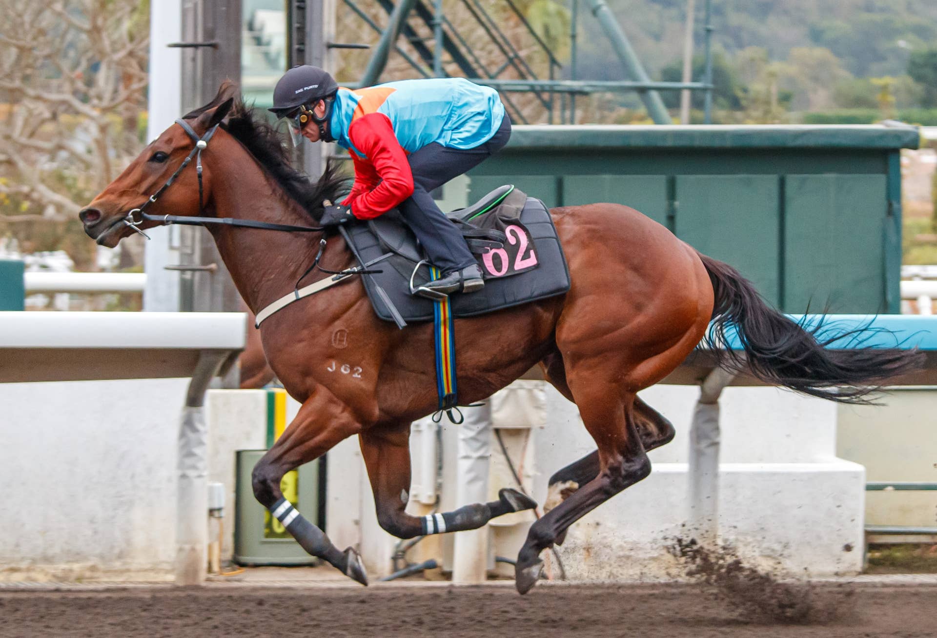 Hong Kong Racing Insights: Ka Ying Rising Goes For 18 - Paulick Report