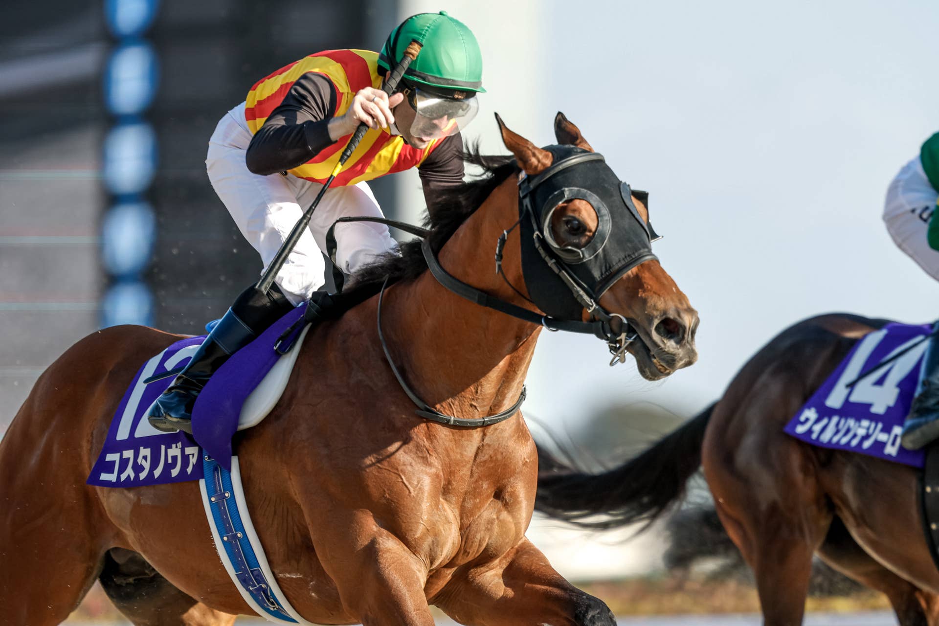 ビジネス・経済 HIT WIN VICTORY II OF HORSE RACE Costa Nova Notches Second Straight February Victory, Earns