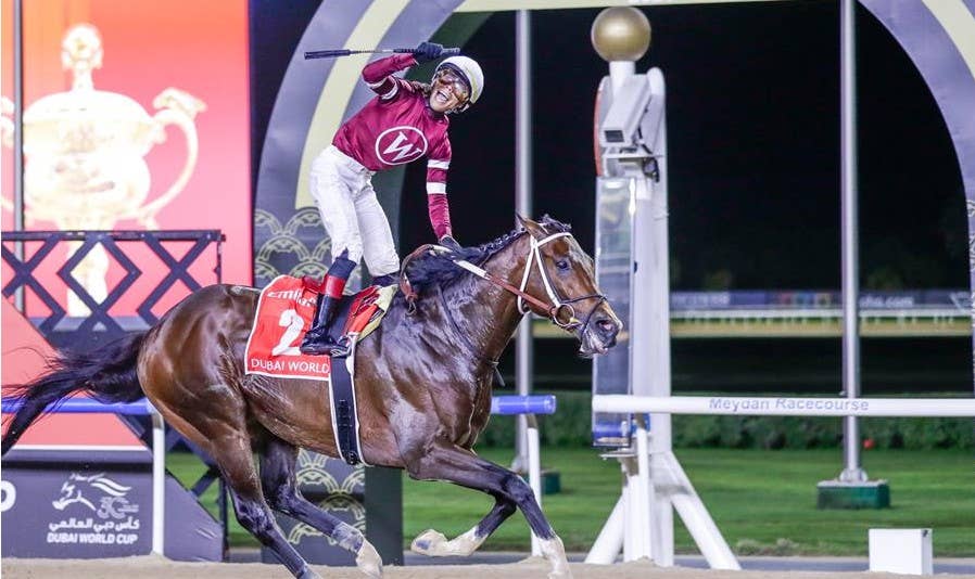 Dubai World Cup Winner Magnitude ‘Likely’ For Stephen Foster - Paulick ...