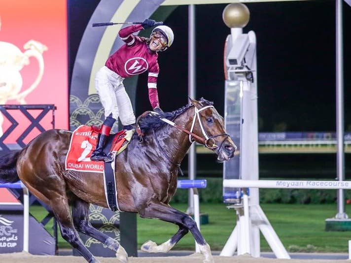 Dubai World Cup Winner Magnitude ‘Likely’ For Stephen Foster - Paulick ...