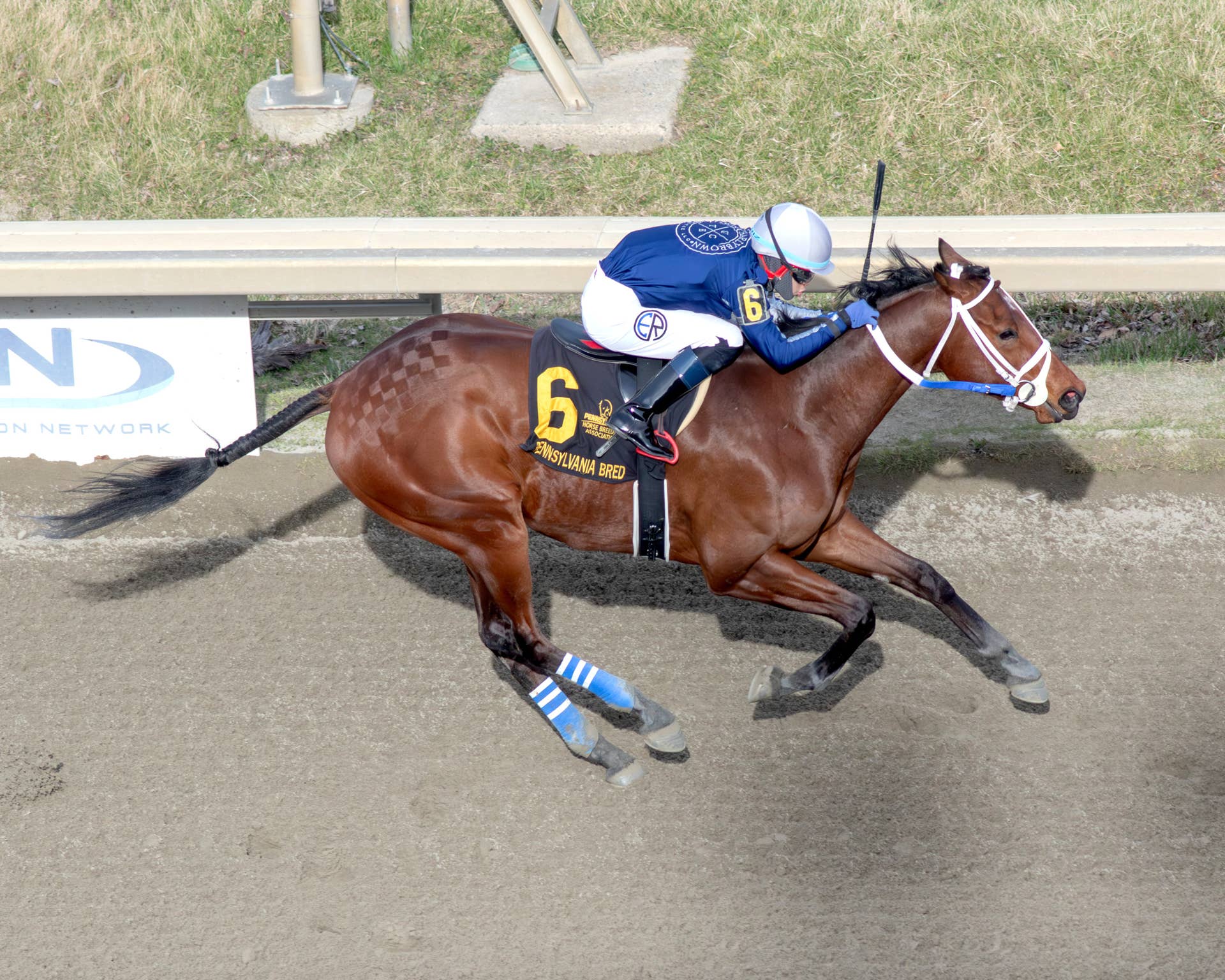 Pennsylvania Leaderboard: Uptowncharlybrown Stud Once Again Pacing Stallion Owners