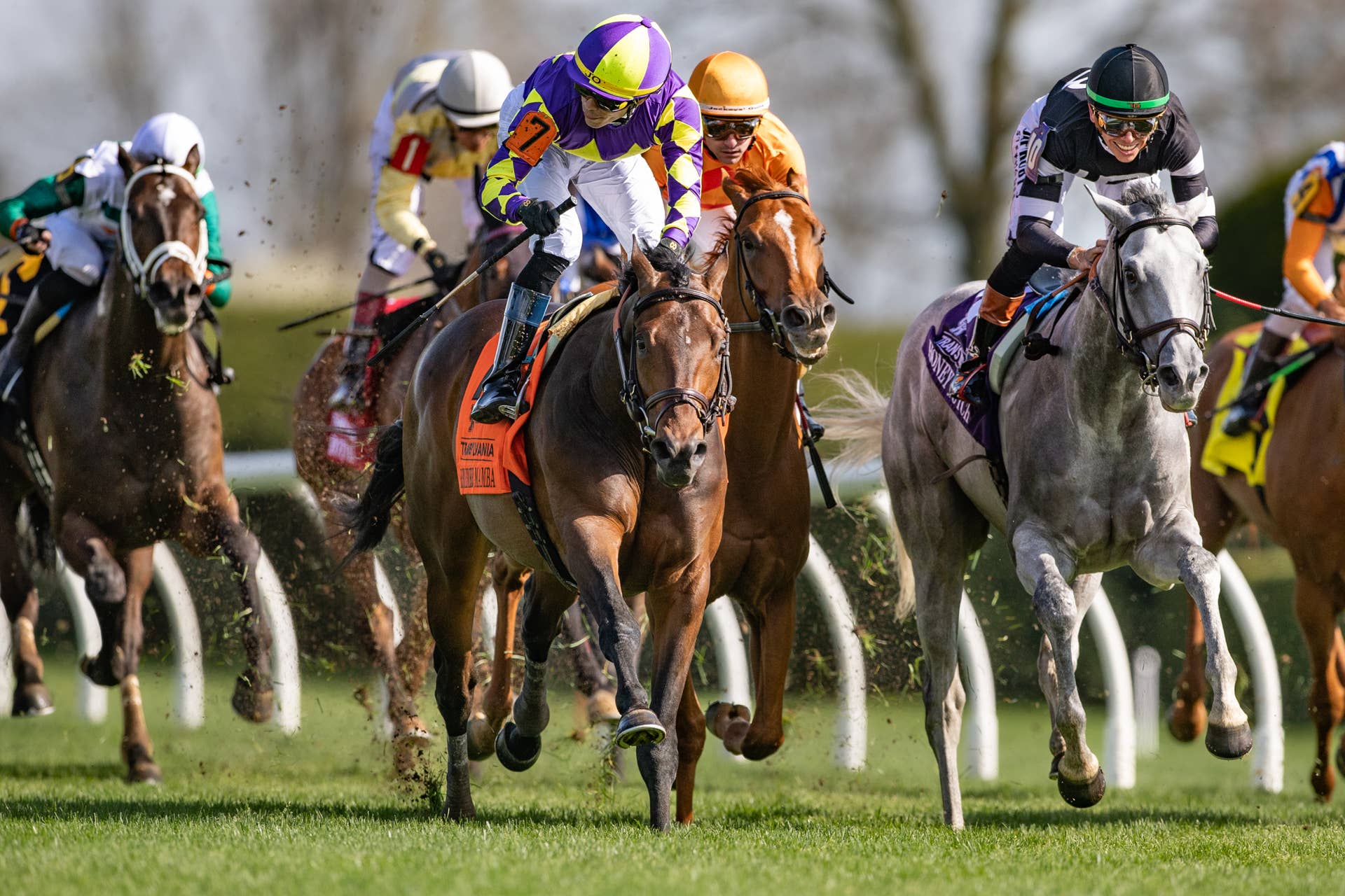 Mamba Win Remember Mamba 'Getting Better And Better,' Scores Third Straight Win ...
