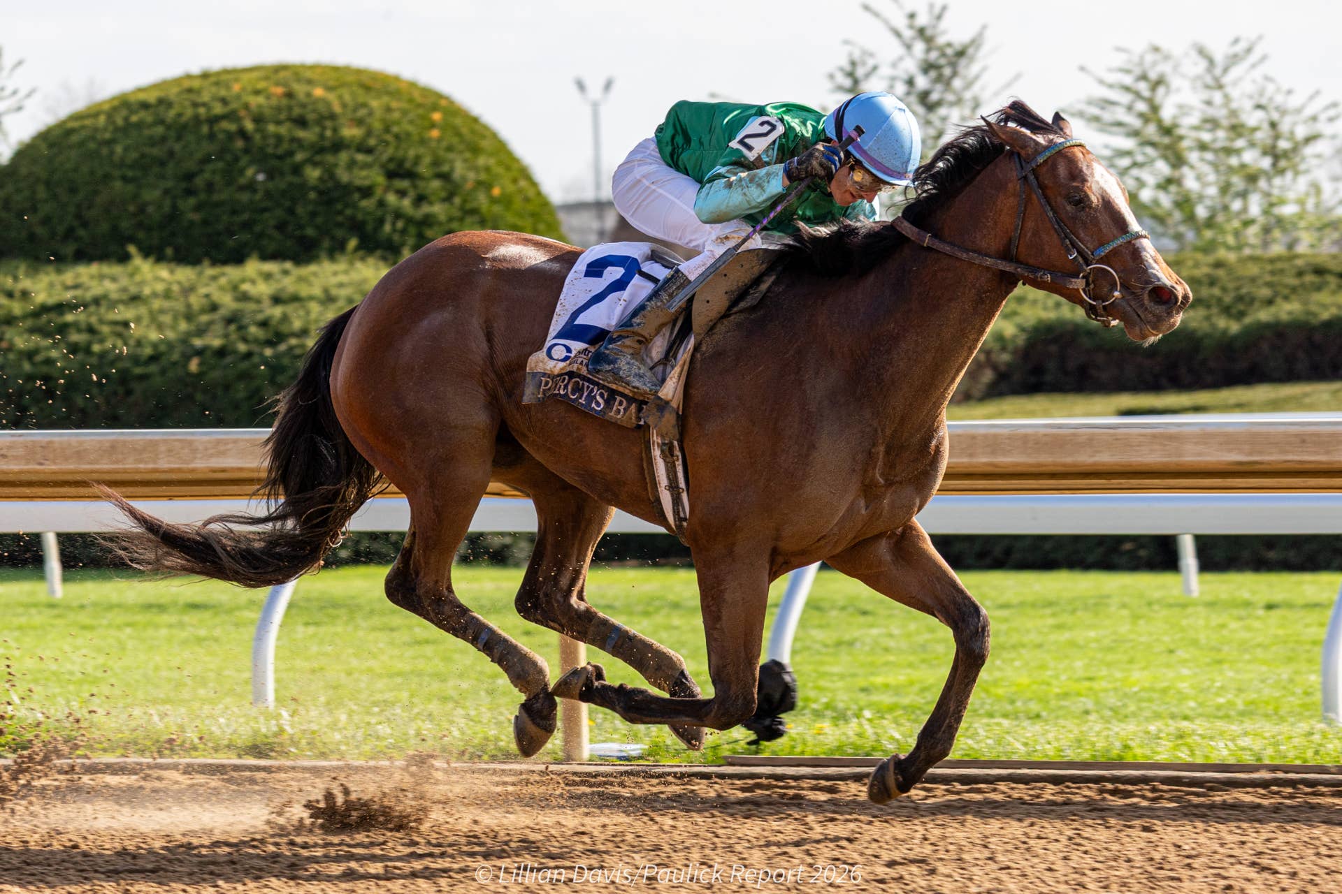 Grade 1 Winner Percy’s Bar Features In Raven Run Stakes - Paulick Report