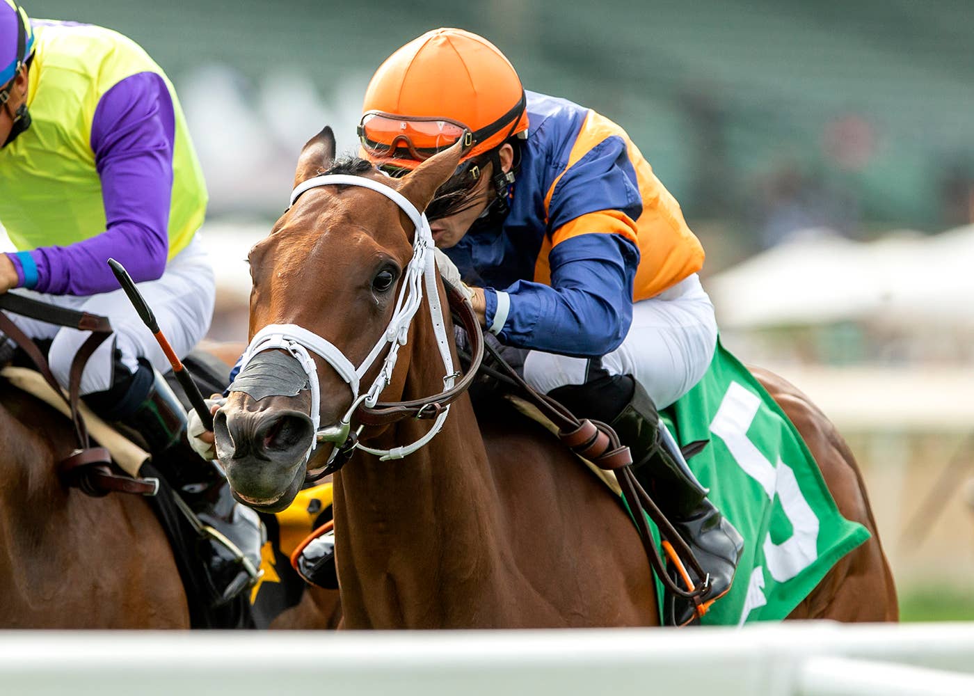 Gentildonna Surges to Victory in Dubai Sheema Classic - Paulick Report